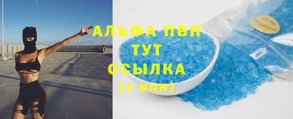 винт Абаза
