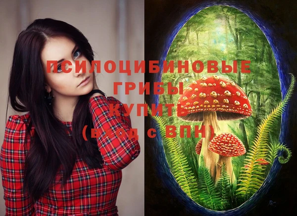 винт Абаза
