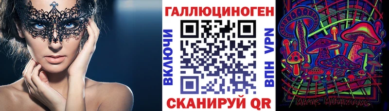 kraken как войти  Александровск-Сахалинский  Псилоцибиновые грибы Psilocybe  где продают наркотики 